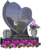 Herzmodell 3